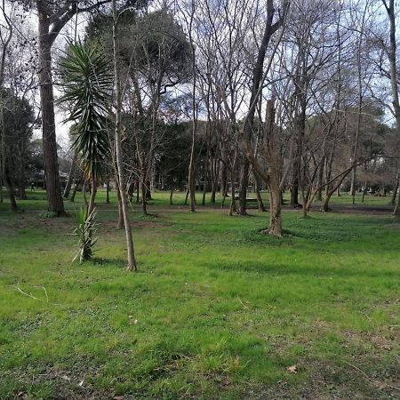 La Casina Giramondo Di Ele Viareggio Exterior photo