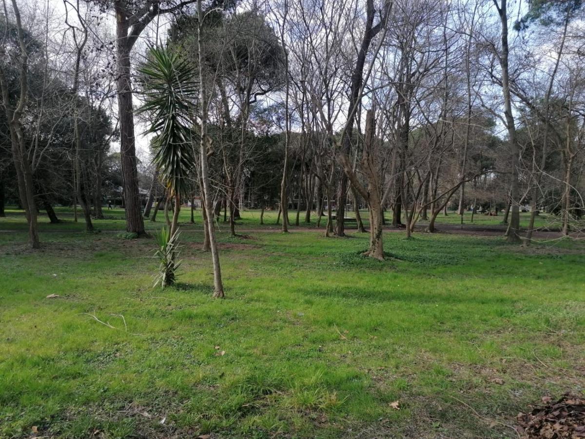 La Casina Giramondo Di Ele Viareggio Exterior photo